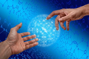 米兰体育入口-德国仰泳项目技术稳定提升，德国仰泳项目技术稳定提升方案