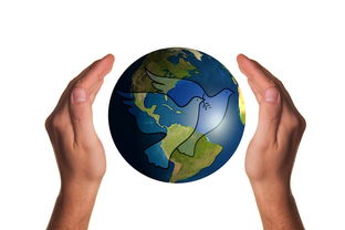 米兰体育-波兰队赛制分析：如何在团体赛制中保持稳定的表现，波兰球队如何  第2张