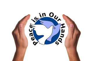 米兰体育-波兰队赛制分析：如何在团体赛制中保持稳定的表现，波兰球队如何  第3张