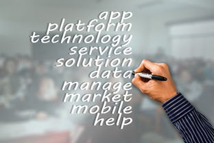 米兰体育官网登录入口-瑞典队未来：如何建立更具竞争力的国际品牌，瑞典队分析